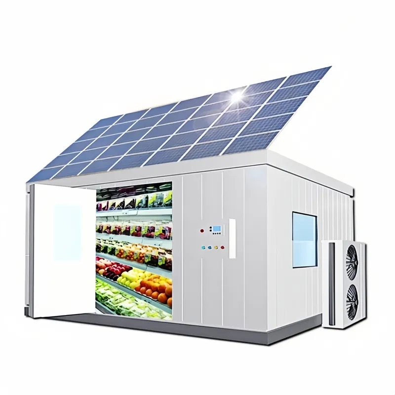 Power Tools Store - 太陽光発電式ウォークイン冷蔵庫（オフグリッド農場用、熱帯気候に適し、果物、野菜、肉、魚、氷の保管に最適）